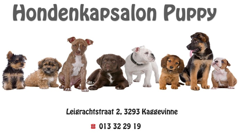 Hondenkapsalon Puppy